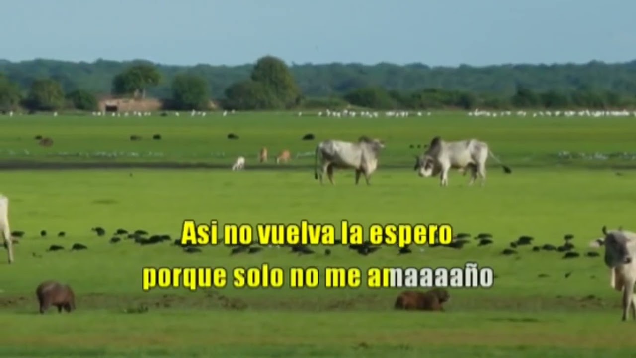 Tarotarito del Caño Karaoke Jorge Guerrero