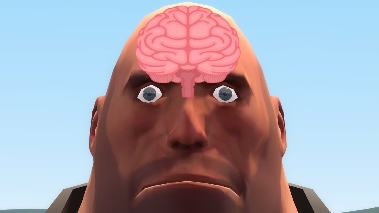 A Look Into My Brain