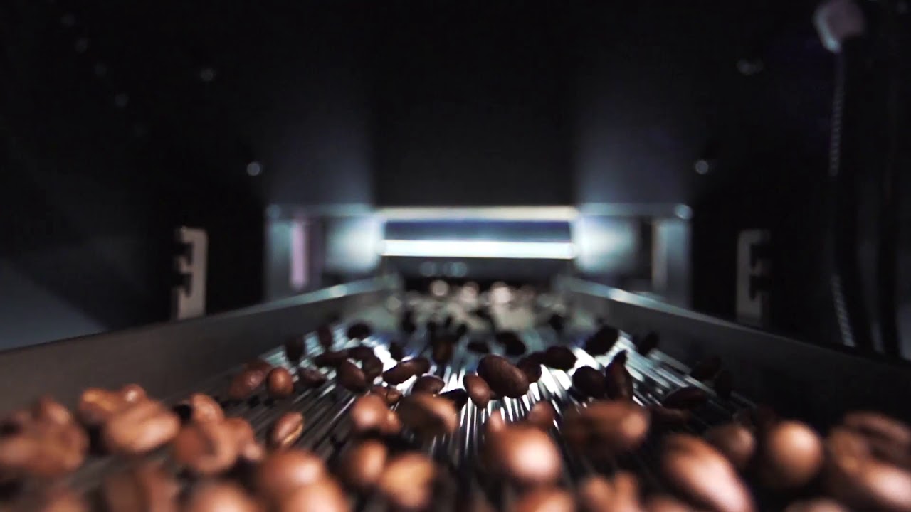 Yosuke Coffee Sorter