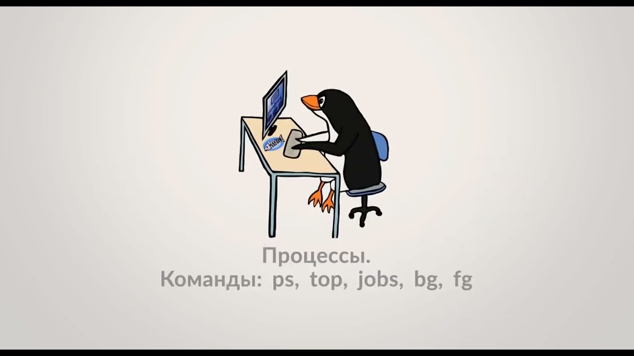 Управление Процессами в Linux: Команды ps, top, jobs, bg, fg