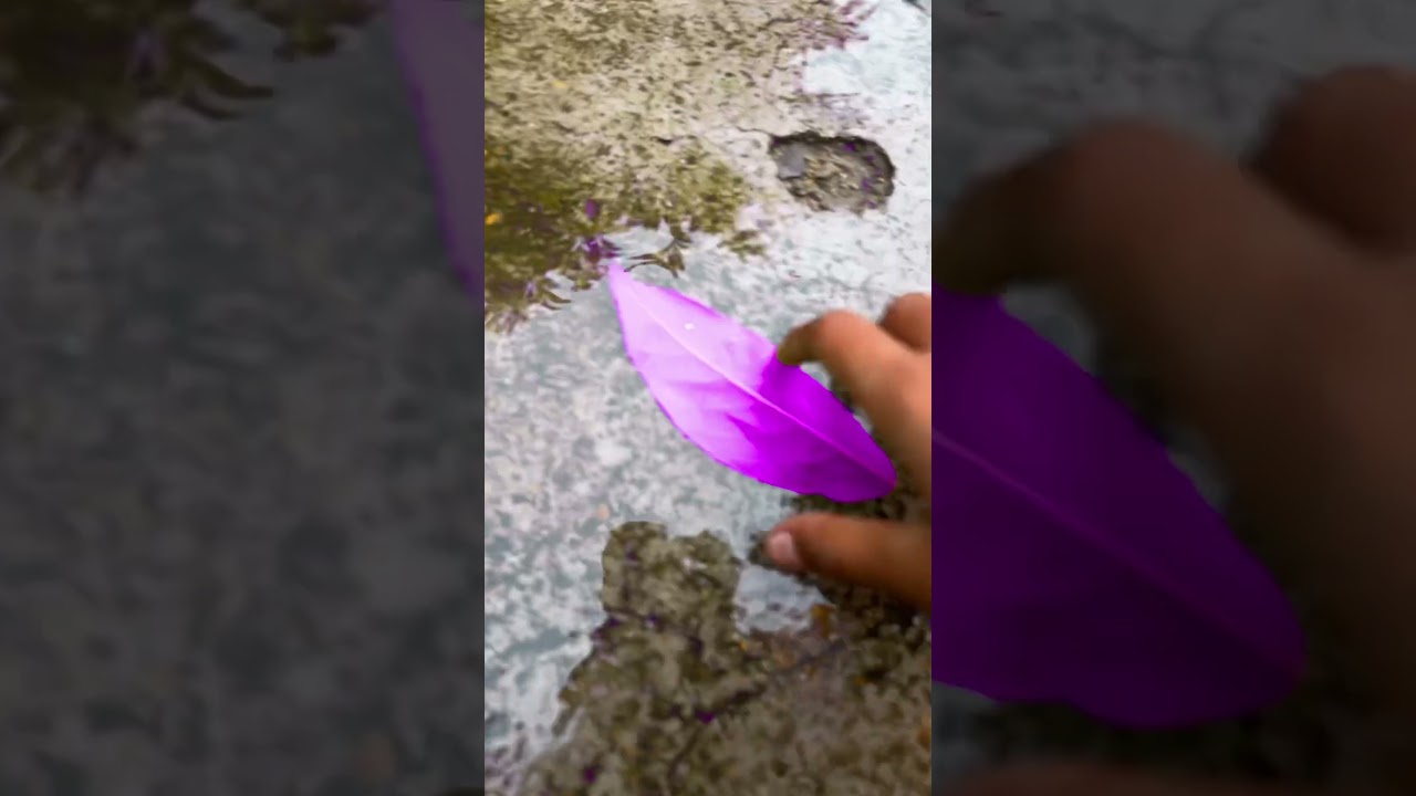 Purple garden