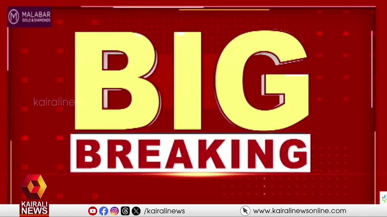 മൂന്നാറിൽ വീണ്ടും പടയപ്പയുടെ പരാക്രമം; ഓട്ടോ തകർത്തു, ഡ്രൈവർ രക്ഷപെട്ടത് തലനാരി‍ടയ്ക്ക്