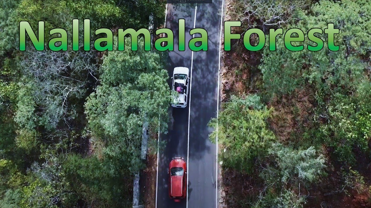 nallamala forest drone | nallamala forest | nallamala | srisailam drone |