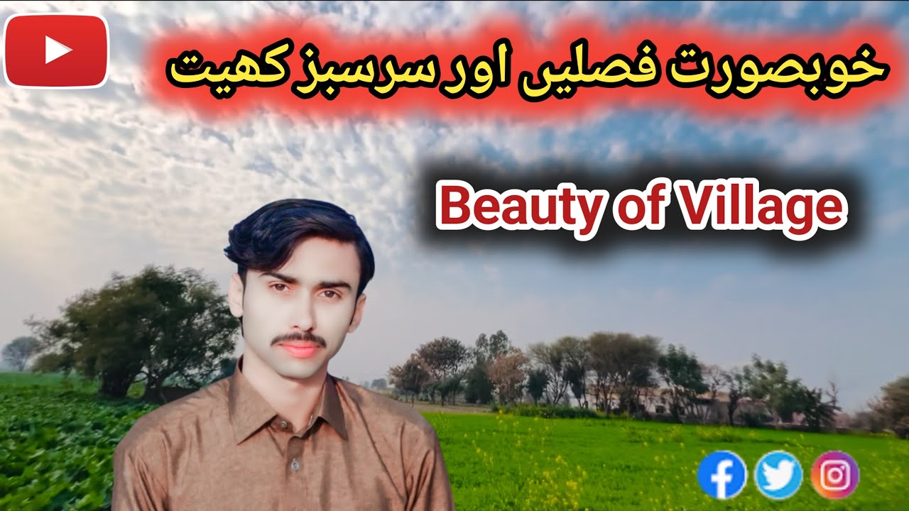 Beautiful Crops & Green Fields | خوبصورت فصلیں اور سرسبز کھیت😍||@armaanmalik2154 