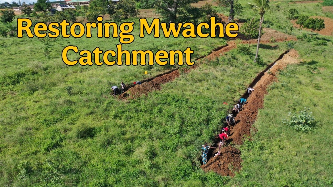 Efforts in Restoring Mwache Dam Catchment & Enhancing Agricultural Productivity