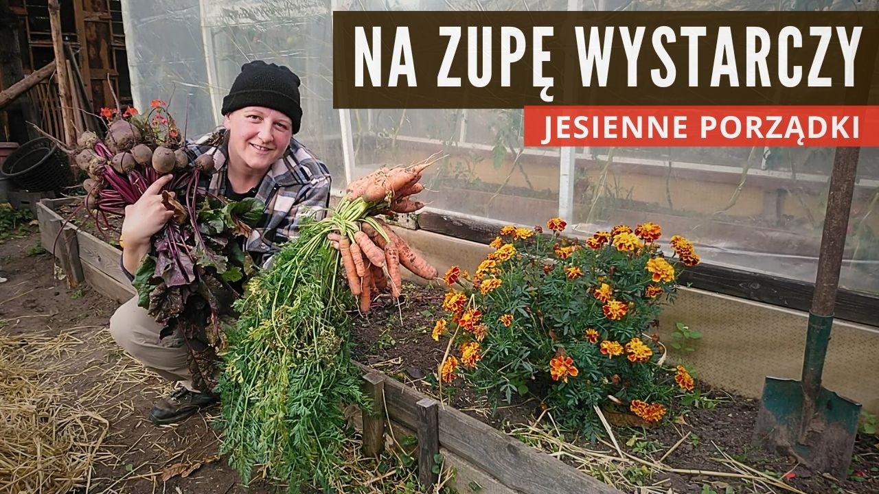 Jesienne porządki w warzywniku. Zbieram warzywa - na zupę wystarczy. Spacer po ogrodzie październik