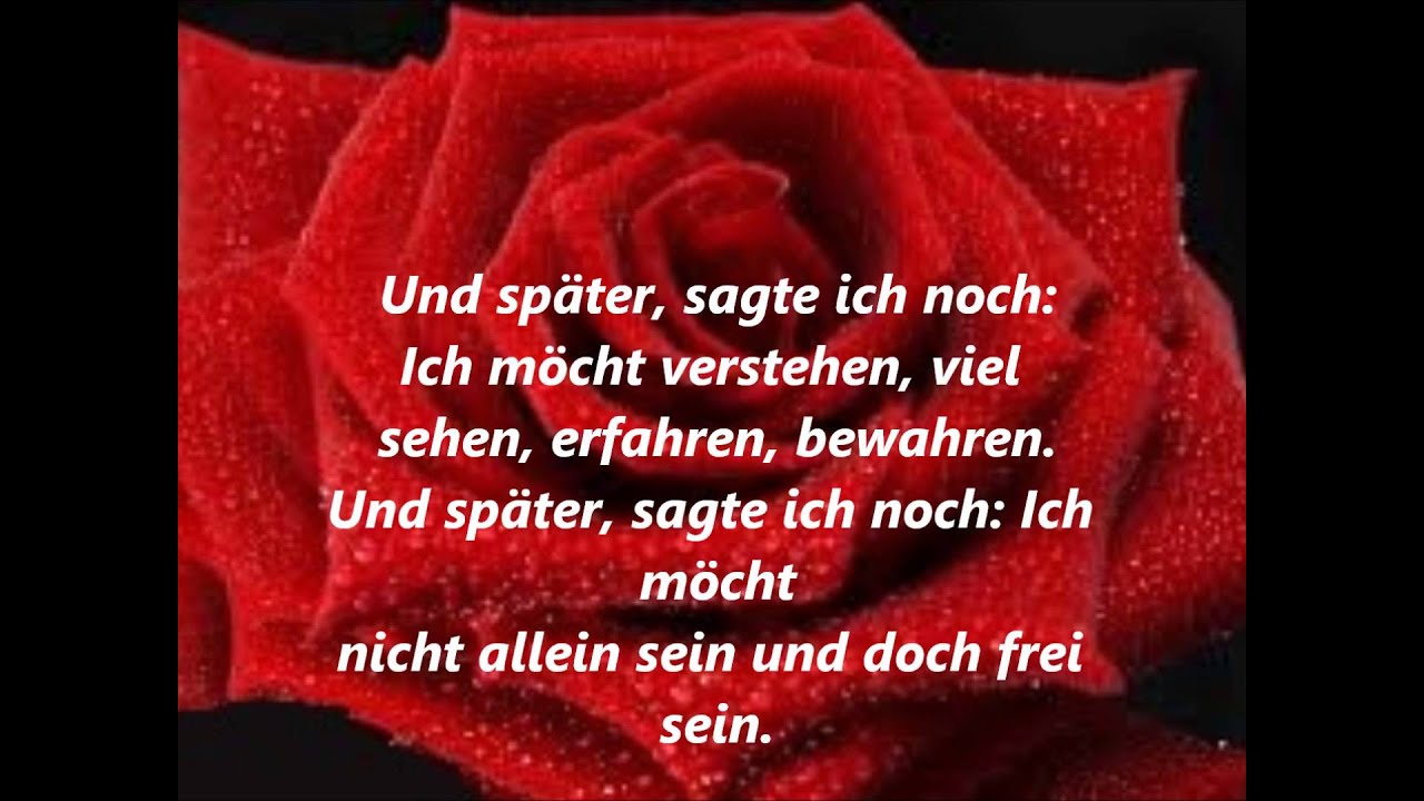 Für mich solls rote Rosen regnen