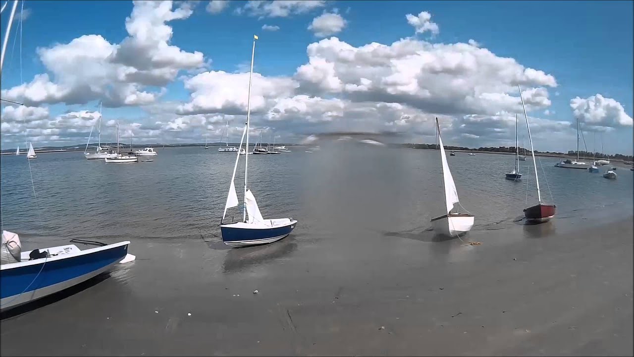 Three Gulls in Chichester Harbour