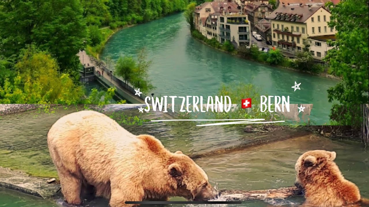 Switzerland 🇨🇭River Aare / Bärenpark Bern / The Bears /  Riding a motorcycle / May 2022