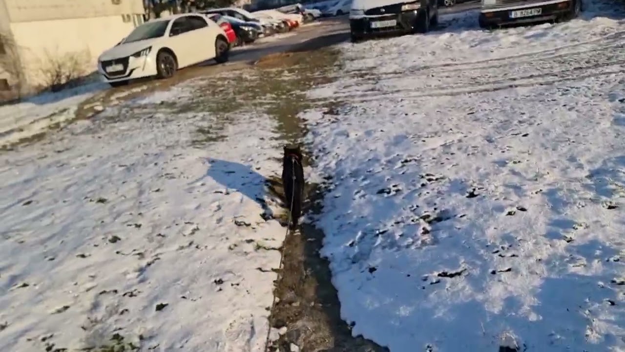 Last snow walk of the season with Richi