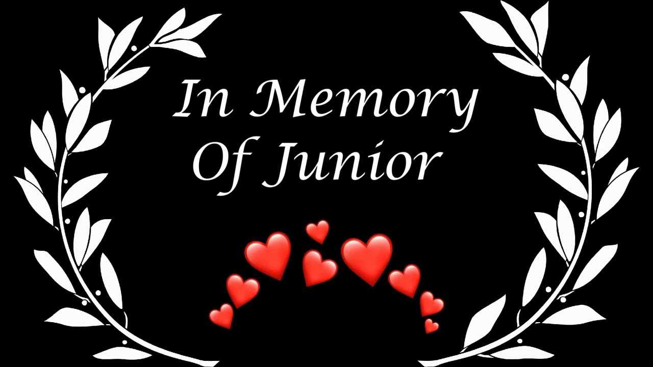 GROWLS Eagle Nest -💕In Memory of Junior💕 Please Read Description For Info About This Nest-2022.07.20