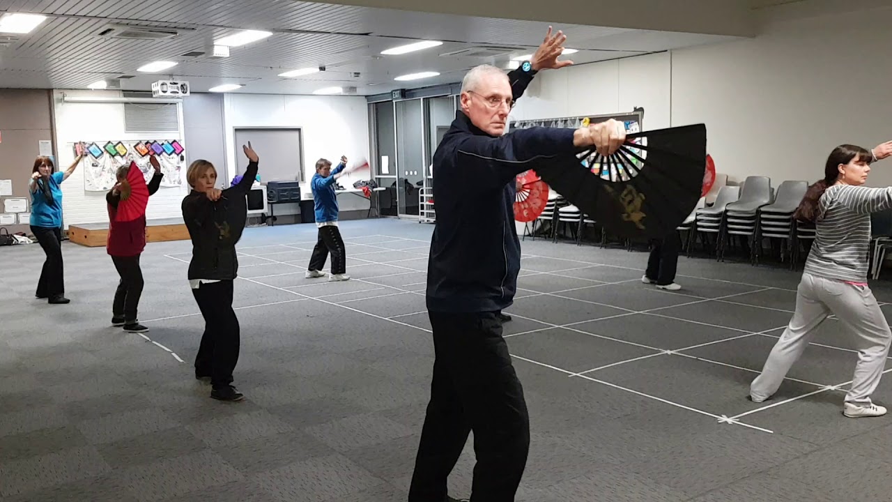 Tai Chi Fan Yang Style 18