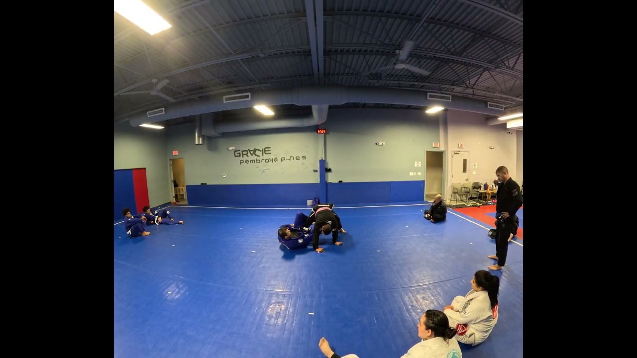 Guard pull to single leg X or shelf opponent 
