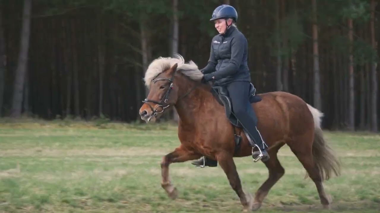 Svenja vom Sigurdshof