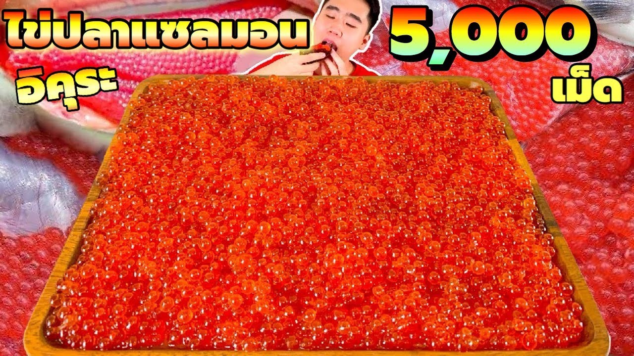 กินไข่ปลาแซลมอน 5,000 กว่าเม็ด 1 กิโล แตกเป๊าะแป๊ะในปาก ฟินที่สุดเลย | ดมข้าว