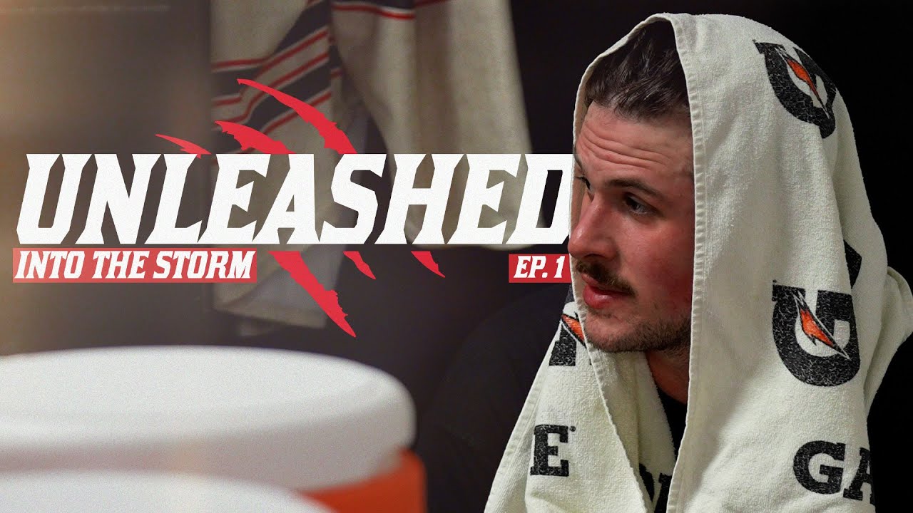Unleashed: Into the Storm