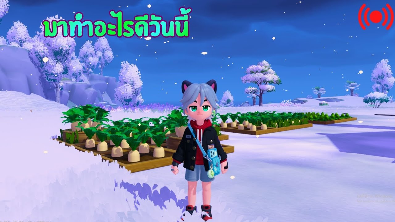 🔴🌳 มาทำอะไรดีวันนี้