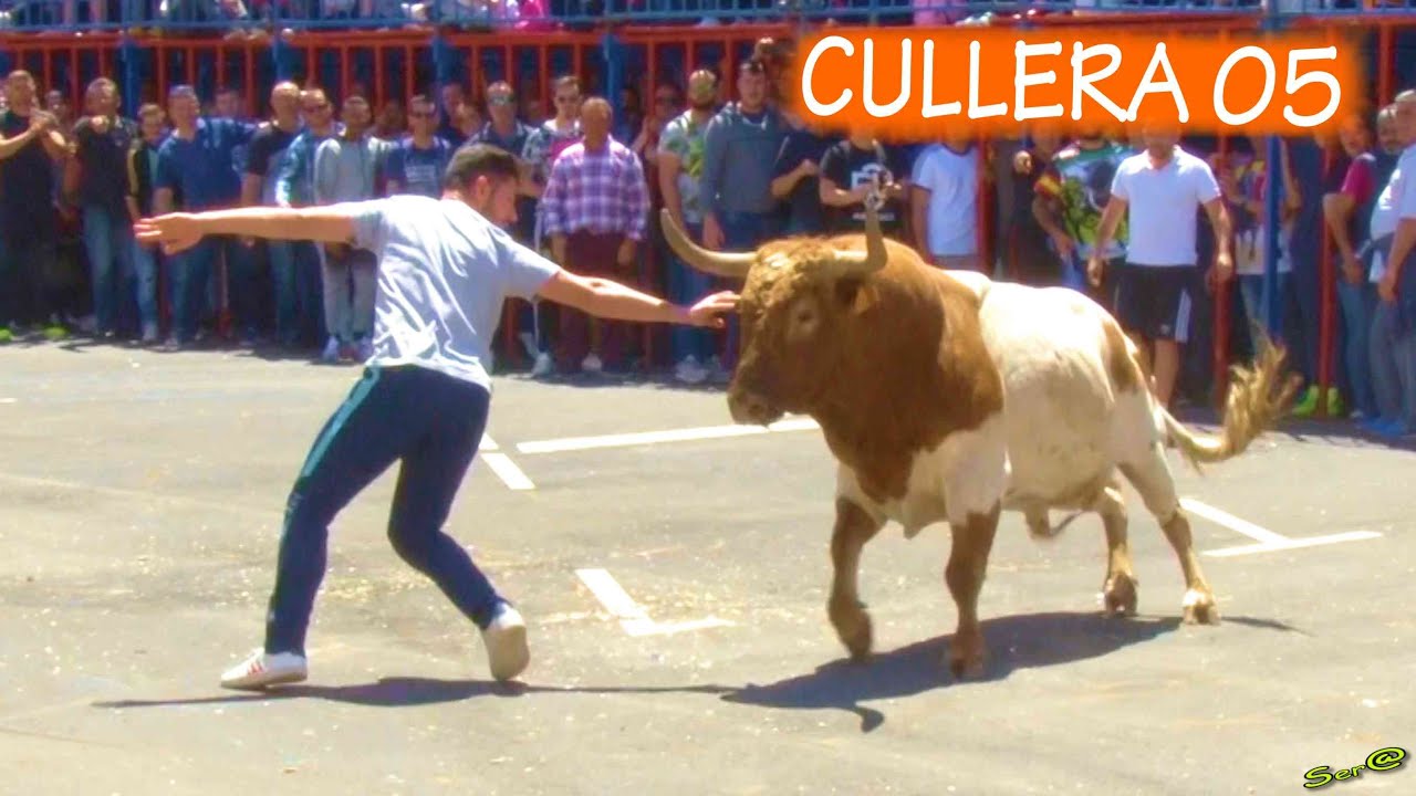 🔵CULLERA  05 ◾ ENTRA  Ganadería  La Paloma