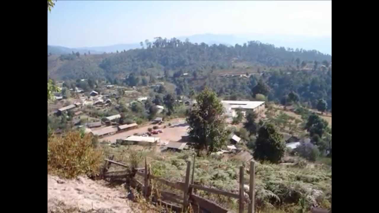 NO SOMOS NADA -  LOS ARMADILLOS DE LA SIERRA (2014)