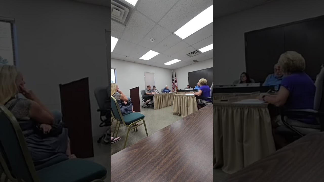 Vermilion Township BZA decision Aug 12 2025