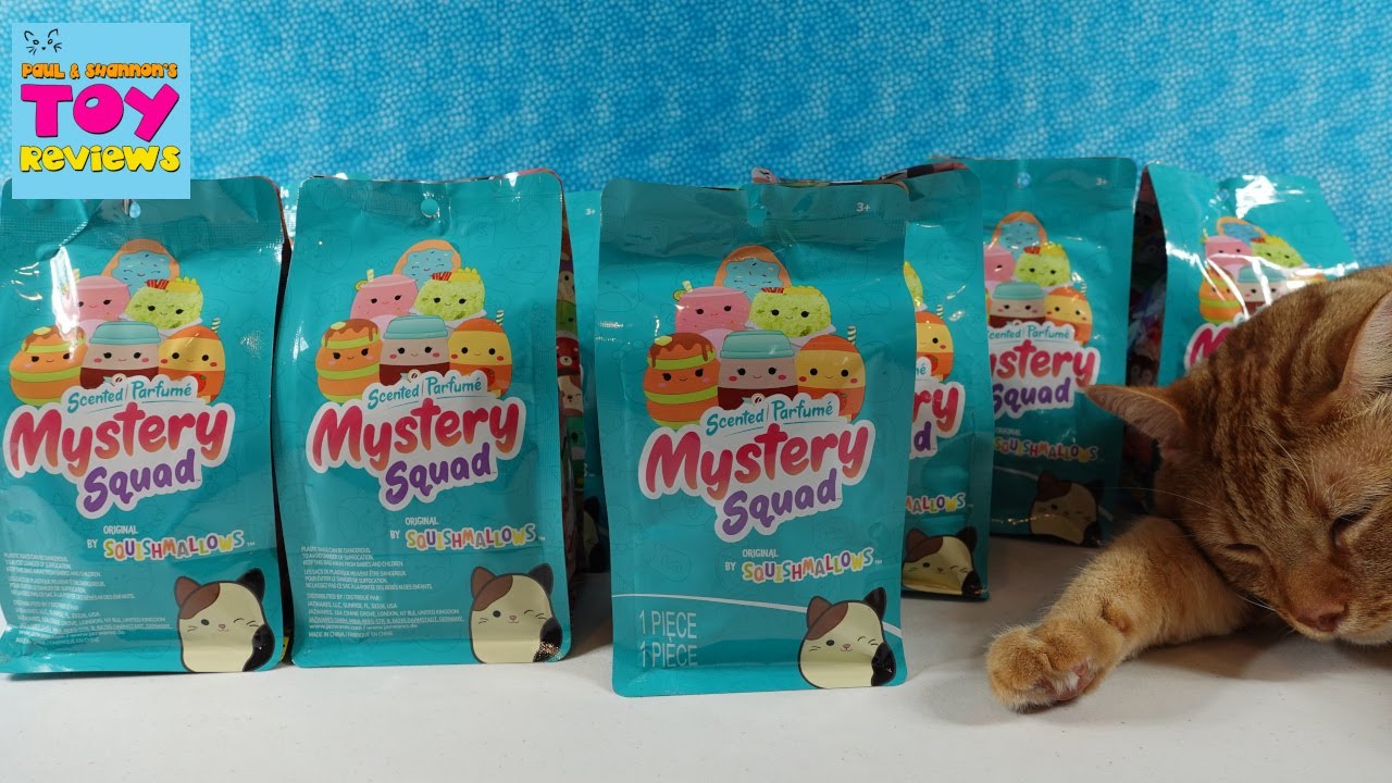 Открытие плюшевых игрушек Squishmallows Mystery Squad: Завтраки лучших подруг | PSToyReviews