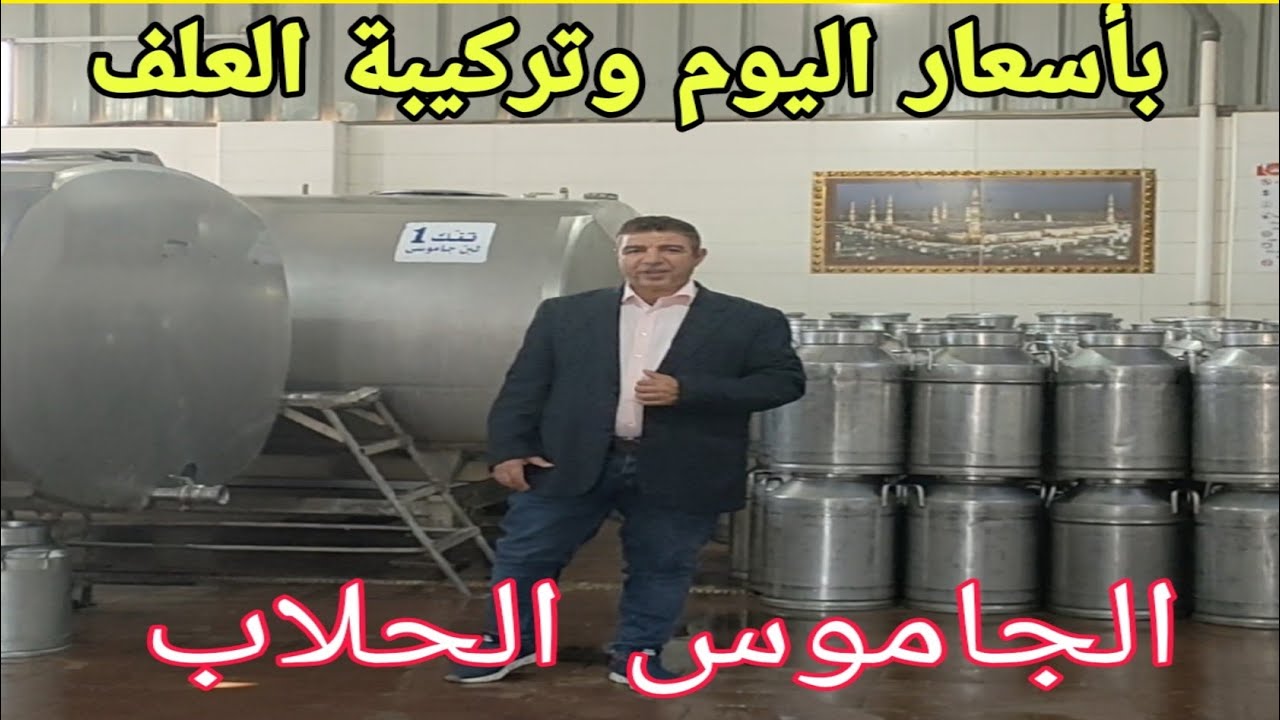 مع د/السيد الطوخي.نقدم وبأسعار اليوم دراسة جدوي( ٢٠ جاموسة حلاب).تربح ٣٥ ألف جنيه شهريا .مع الأعلاف