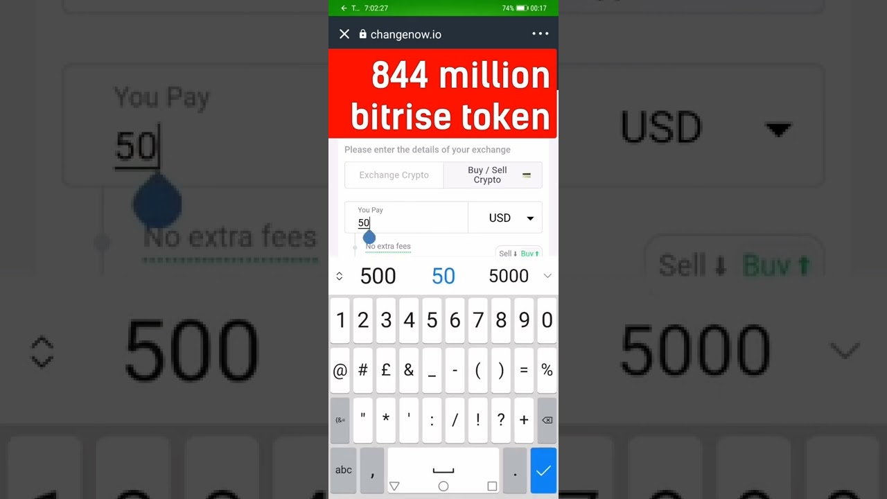 how to buy bitrise bitgert token on trust wallet