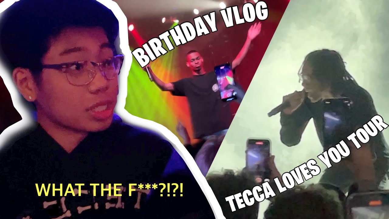 Life Of RiceRomani VI: Birthday Vlog + Tecca Loves You Tour