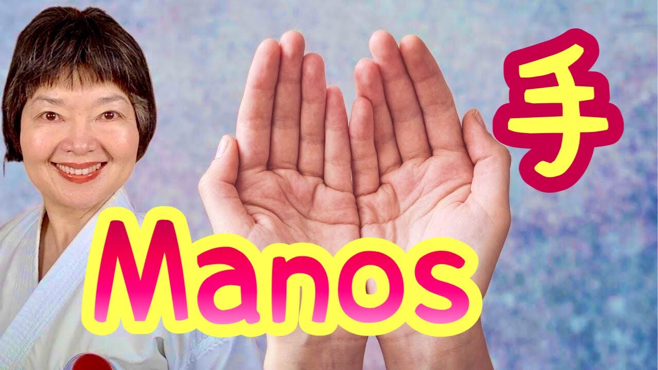 Parte del cuerpo 🖐  MANOS🤚 Karate 67
