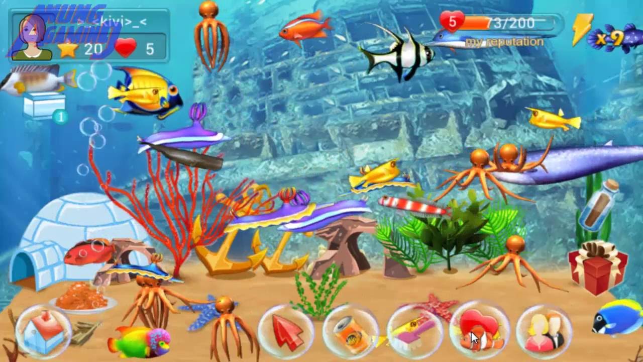 Fish Live - #9 (My Fish Died and Buy New Fish) (Game Pelihara Ikan di Akuarium) (Android Game)