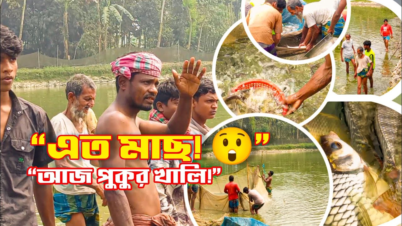 পুরো গ্রাম নেমেছে মাছ ধরতে 😲 এত মাছ আগে দেখিনি! | Village Fishing Bangladesh