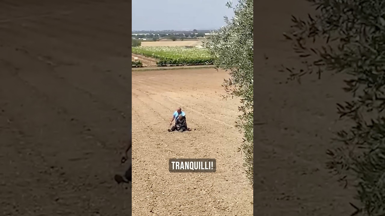 Omicidio carabiniere, Mastropietro era vivo quando è stato arrestato.