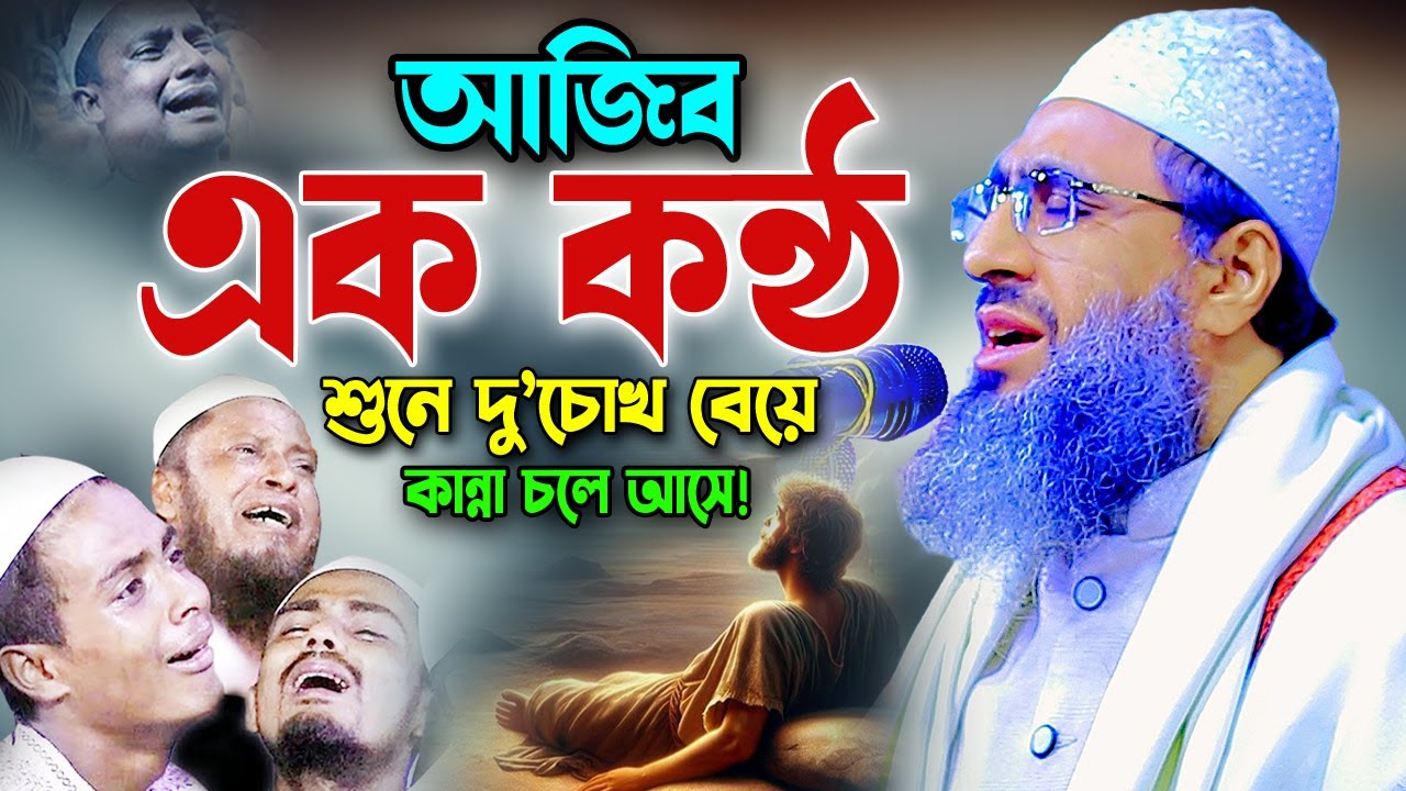 গভীর রাতে ওয়াজটি শুনুন মনের অশান্তি চলে যাবে। আব্দুল মোমেন মুরাদাবাদী ওয়াজ ২০২৪, Muradabadi Waz