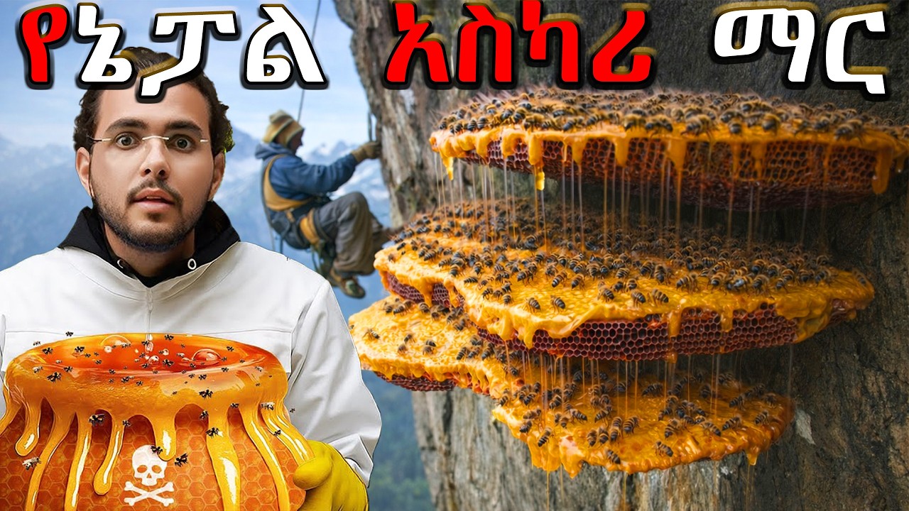 የኔፓልን አስካሪ ማር ተዋወቁ ( ለመቁረጥ በጣም አደገኛ ነው !!!)