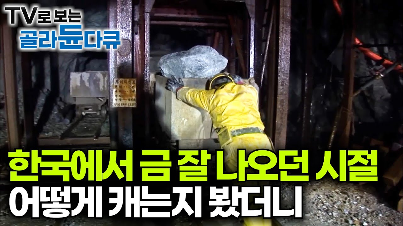 한국도 금이 이렇게 나오는 시절이 있었다. 그 시절 금캐는 현장 가봤더니｜극한직업｜#골라듄다큐