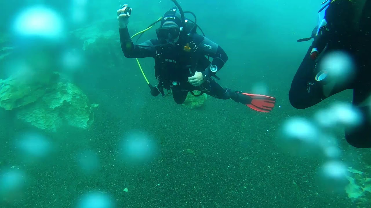 Waikato River Drift Dive Feb 2020