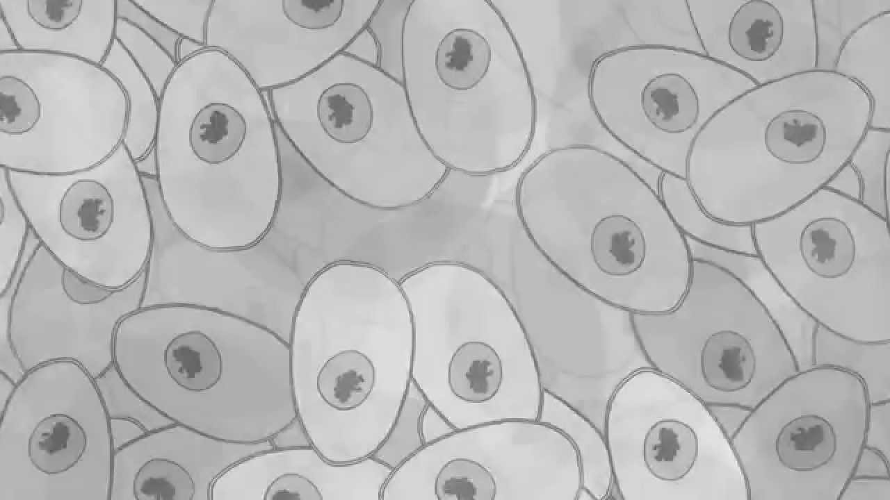 Nuclear RNA Networks Pt 1 - Nodes & Edges