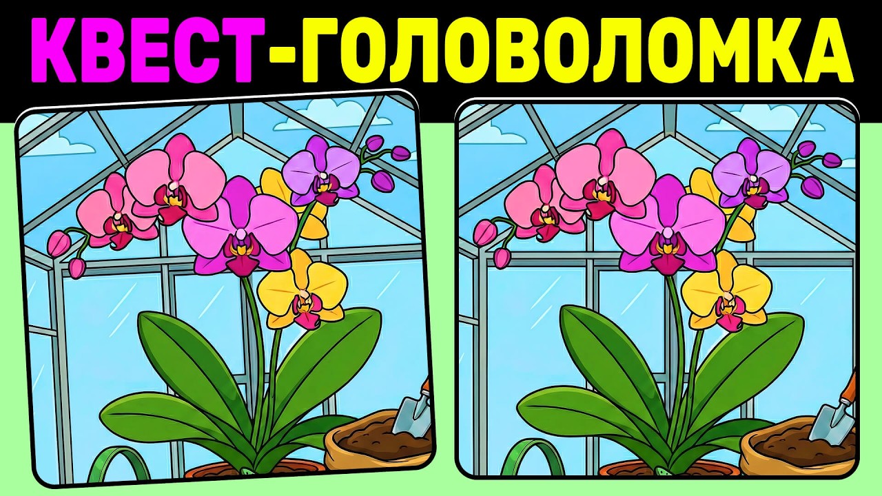 🔍 Найди 3 отличия! | №49🧠 | Квест-головоломка | Тест на внимательность
