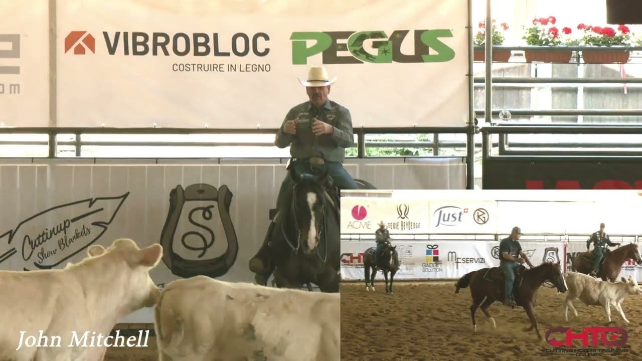 How To Control A Cow On Your Cutting Horse