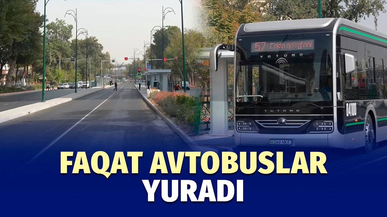 “Avtobuslar xuddi taksiday yuribdi” — Shota Rustavelining o‘rtasida avtobus yo‘lagi ochildi