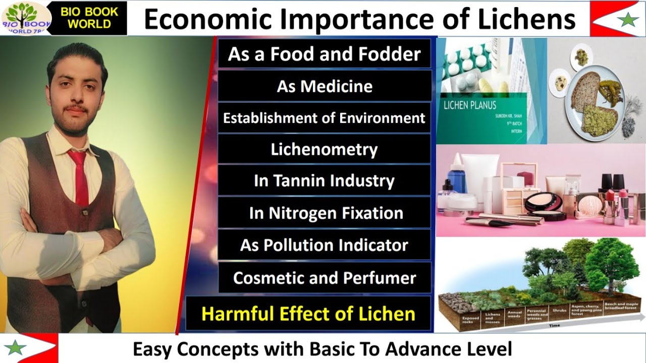 Economic Importance of Lichens | Lichens | B.S | B.Sc | ADS | Hindi