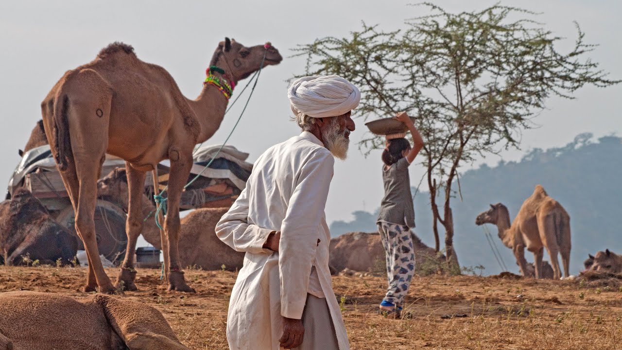 India Rajasthan travel