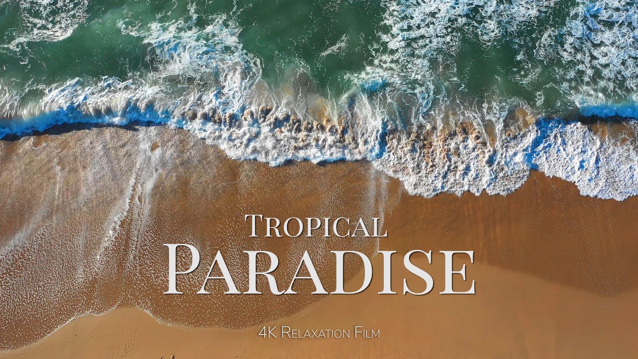 Tropical paradise - the most beautiful beaches. 4K relaxing video