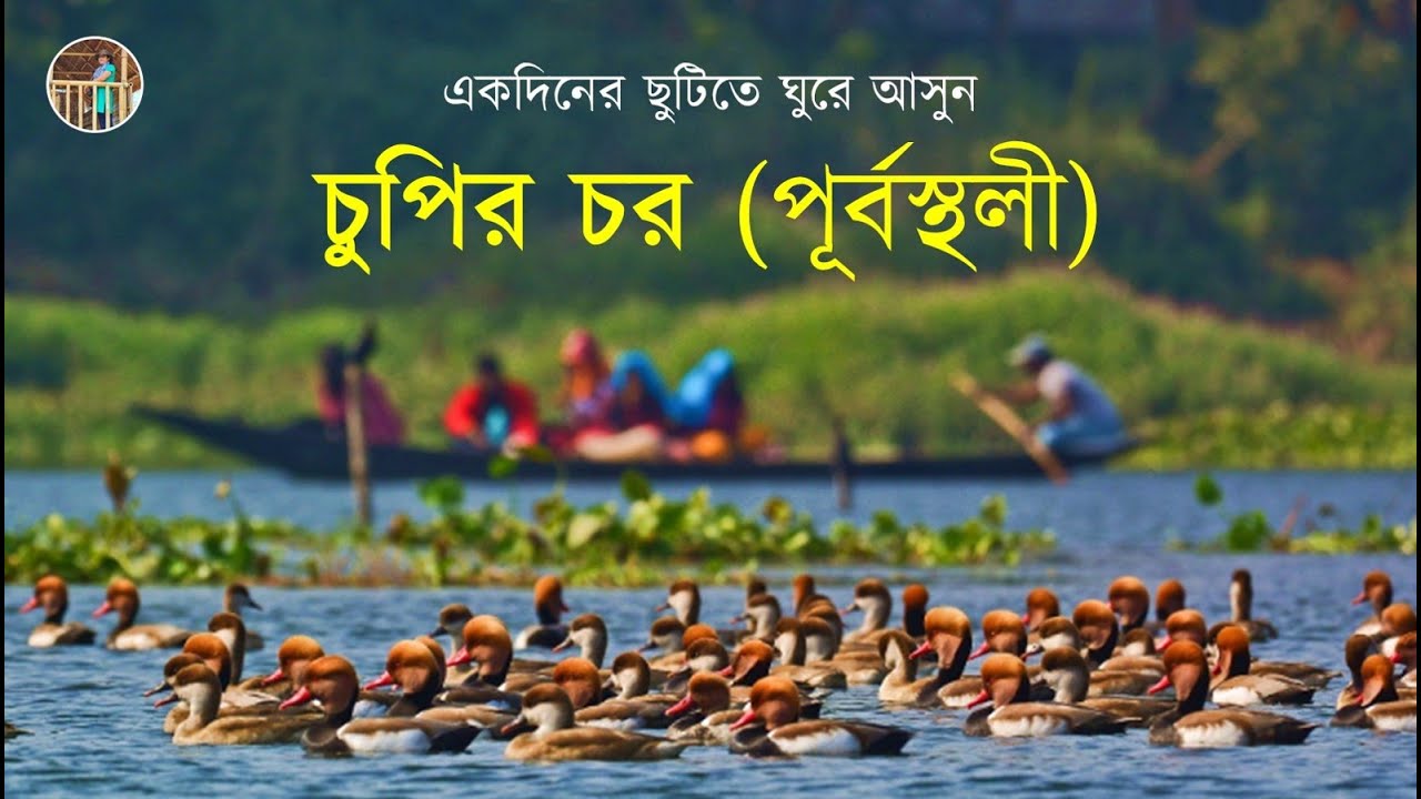 বাংলার আমাজনে ঘুরে আসুন একদিনেই । Chupi Char Purbasthali | Chupi Kasthashali Pakhiralay Cottage|