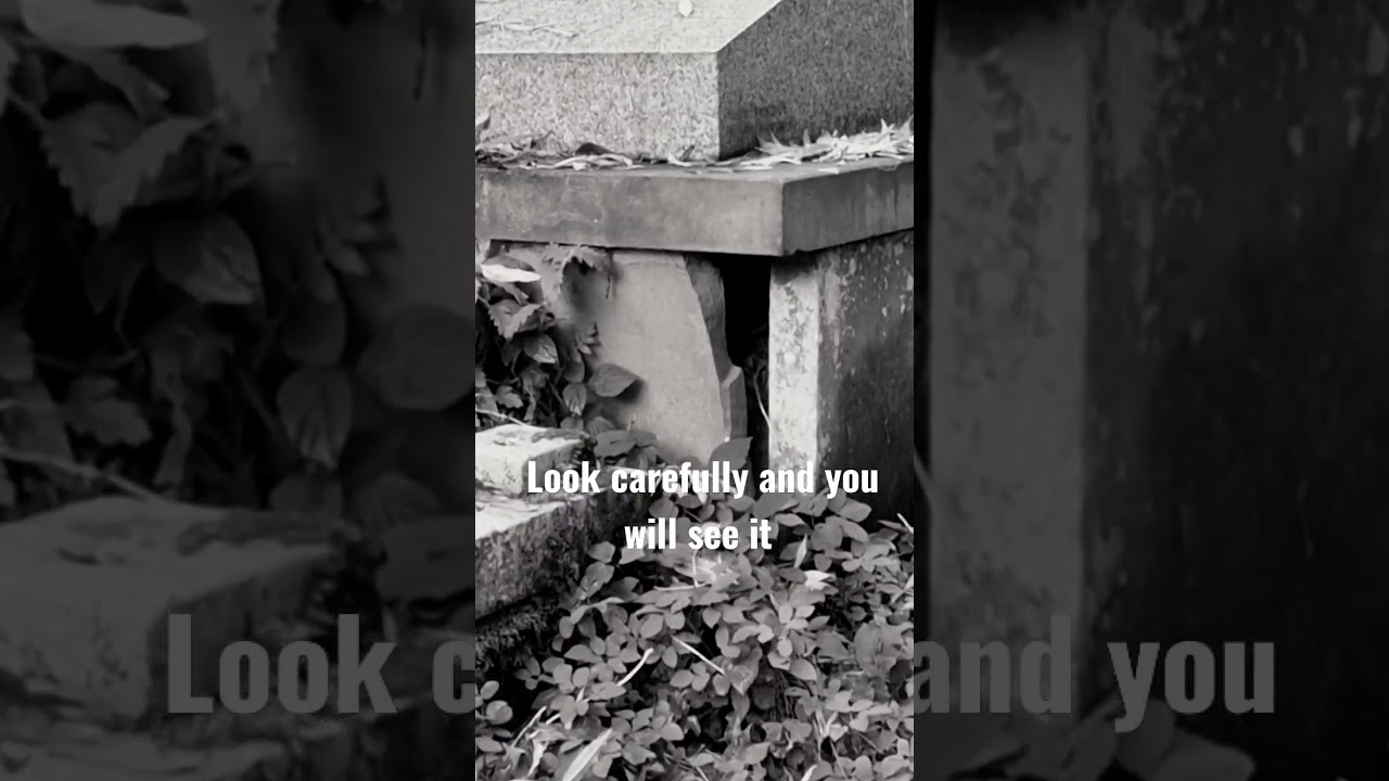The Scariest and most haunted tomb around - WARNING! #shorts #Cemetery