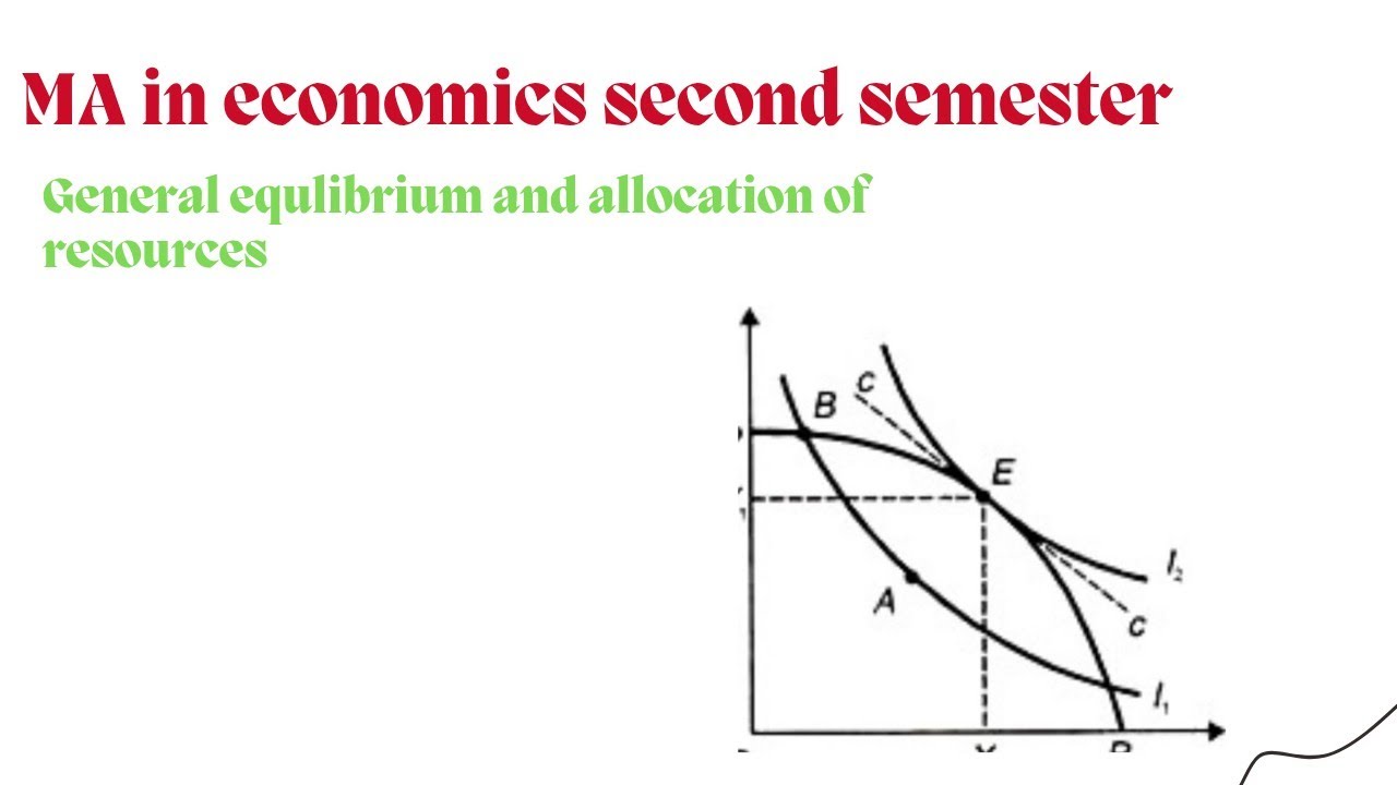 General equilibrium and allocation of resources in nepali