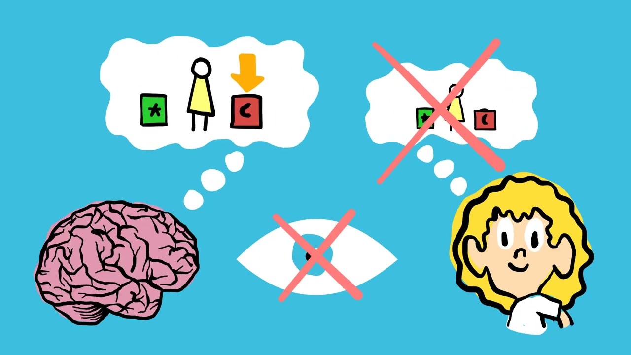Test de Creencia Falsa de Sara y Aina (Sally Anne Test) para evaluar Teoría de la Mente en Autismo
