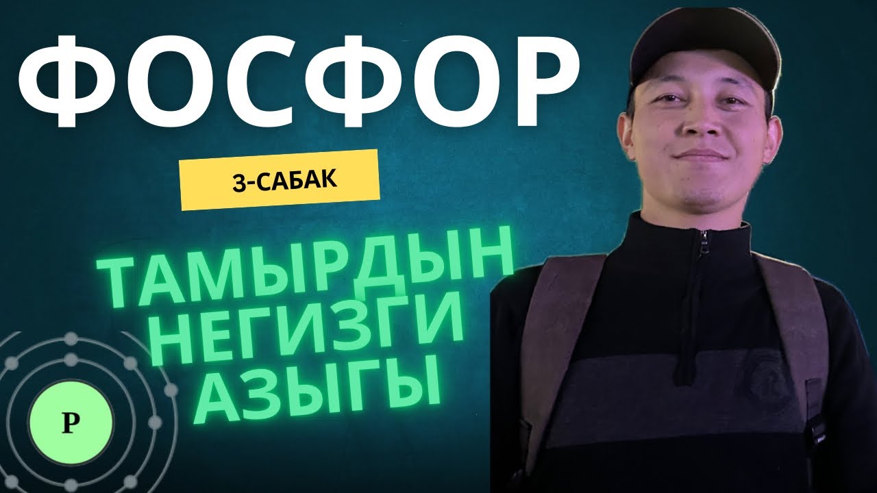 Фосфор-тамырдын негизги азыгы!