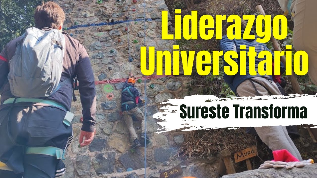 Universidades y Liderazgo en Sureste. Testimonios.