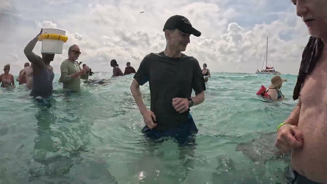 Stingray City, Grand Cayman, December 2025. 